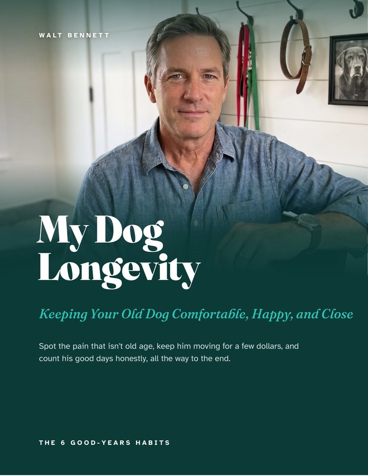 Cover of My Dog Longevity: Keeping Your Old Dog Comfortable, Happy, and Close, by Walt Bennett